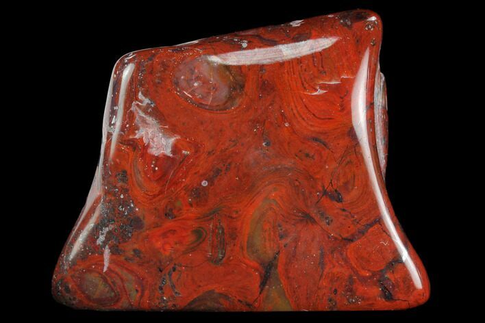 Polished Stromatolite (Collenia) - Minnesota #126081